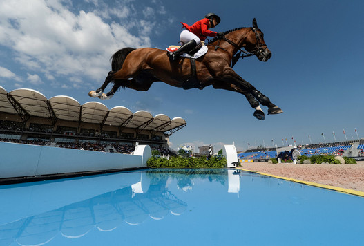 FEI World Equestrian Games™ Tryon USA Janika Sprunger of Switzerland on Bacardi VDLPhoto FEI/Martin Dokoupil