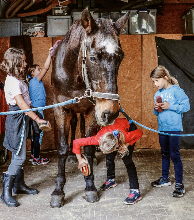Beim Voltigieren wird das Miteinander grossgeschrieben, auch beim Vorbereiten des Pferdes: eine hervorragende Lebensschule.  |  © Sunny Gallo/Voltige Tösstal