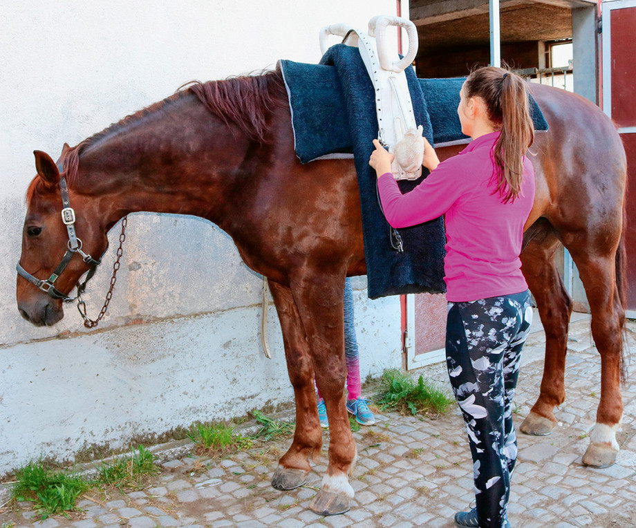Lors de la formation du diplôme «Voltige», les candidats apprennent entre autre aussi à préparer le cheval pour la Voltige.  |  © FSSE