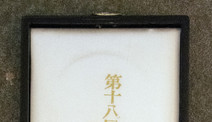 Die Goldmedaille von Tokyo, erritten durch Henri Chammartin (Archiv NPZ)